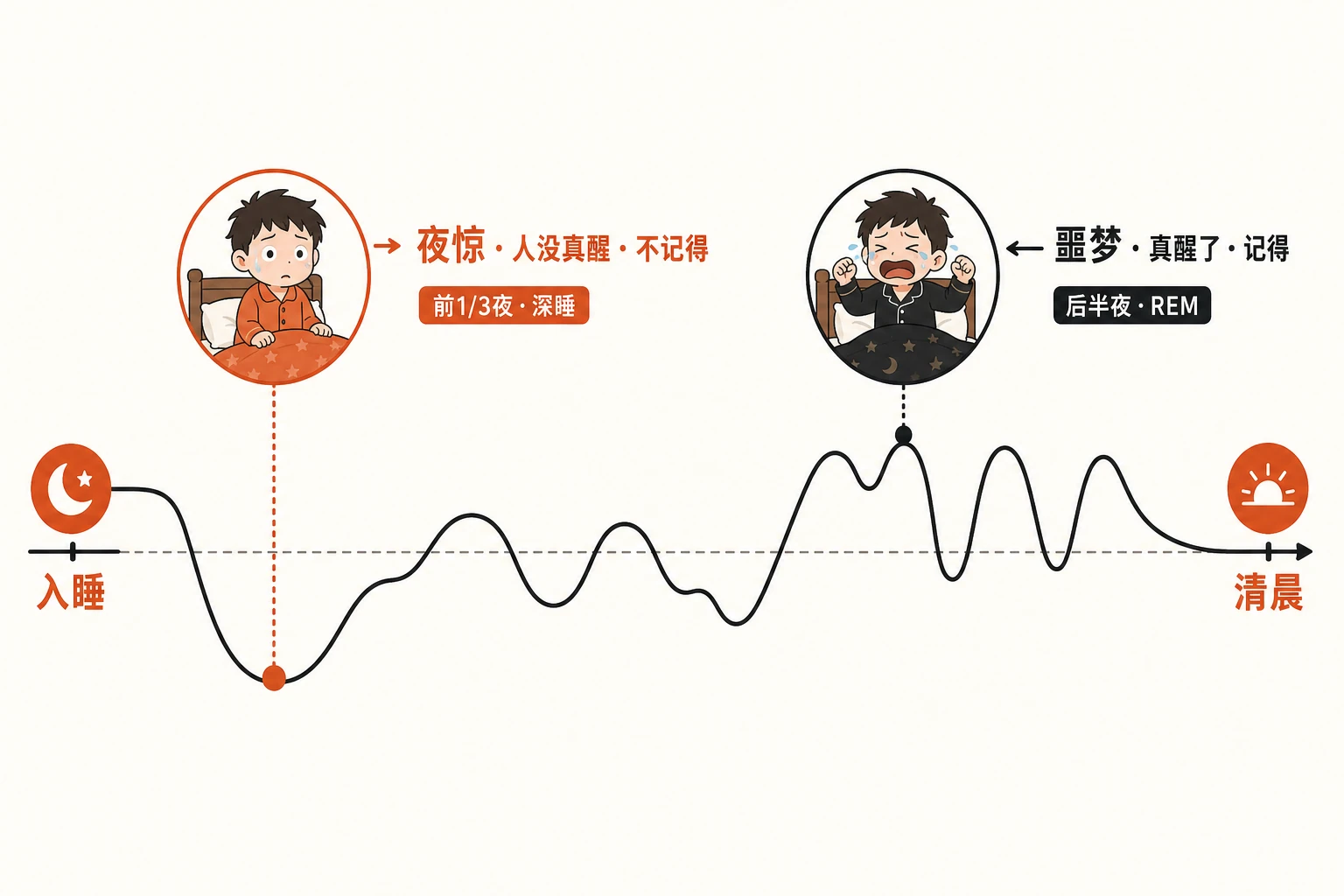 一整夜的时间线：入睡后前 1/3 夜是深睡最多的阶段——「夜惊」发生在这里；后半夜到清晨 REM（做梦）变多——「噩梦」发生在这里。夜惊时孩子「人没真醒」、叫不应、事后不记得；噩梦时孩子是真醒了、能被安抚、还记得。