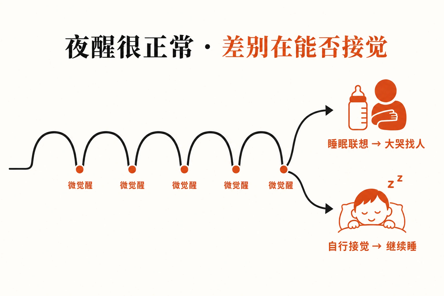 睡眠像一列由多个「睡眠周期」串成的火车，每个周期之间都会短暂「微觉醒」（这很正常）。区别在于：靠奶睡/抱睡入睡的孩子，把「睡着」和这些条件绑在了一起，半夜微醒发现条件没了，就彻底清醒、大哭找人；而能「自行接觉」的孩子，翻个身又睡回去了。